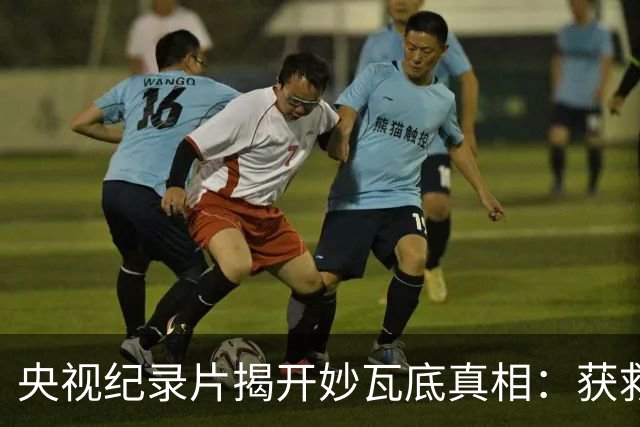 央视纪录片揭开妙瓦底真相：获救者几乎清一色是男性，而女性一旦被卖进园区，能活着回来的几乎为零