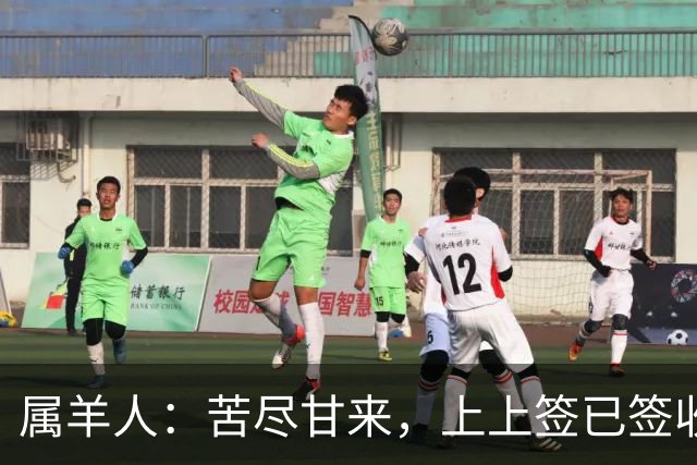 属羊人：苦尽甘来，上上签已签收，八十一难已过完，无灾无难