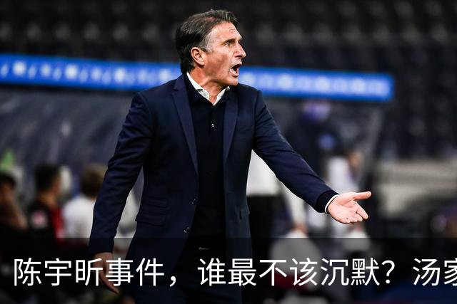 陈宇昕事件，谁最不该沉默？汤家凤博士一语戳中软肋